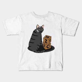 Cat with Cubes Kids T-Shirt